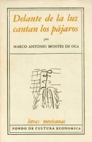 Delante de la luz cantan los pájaros